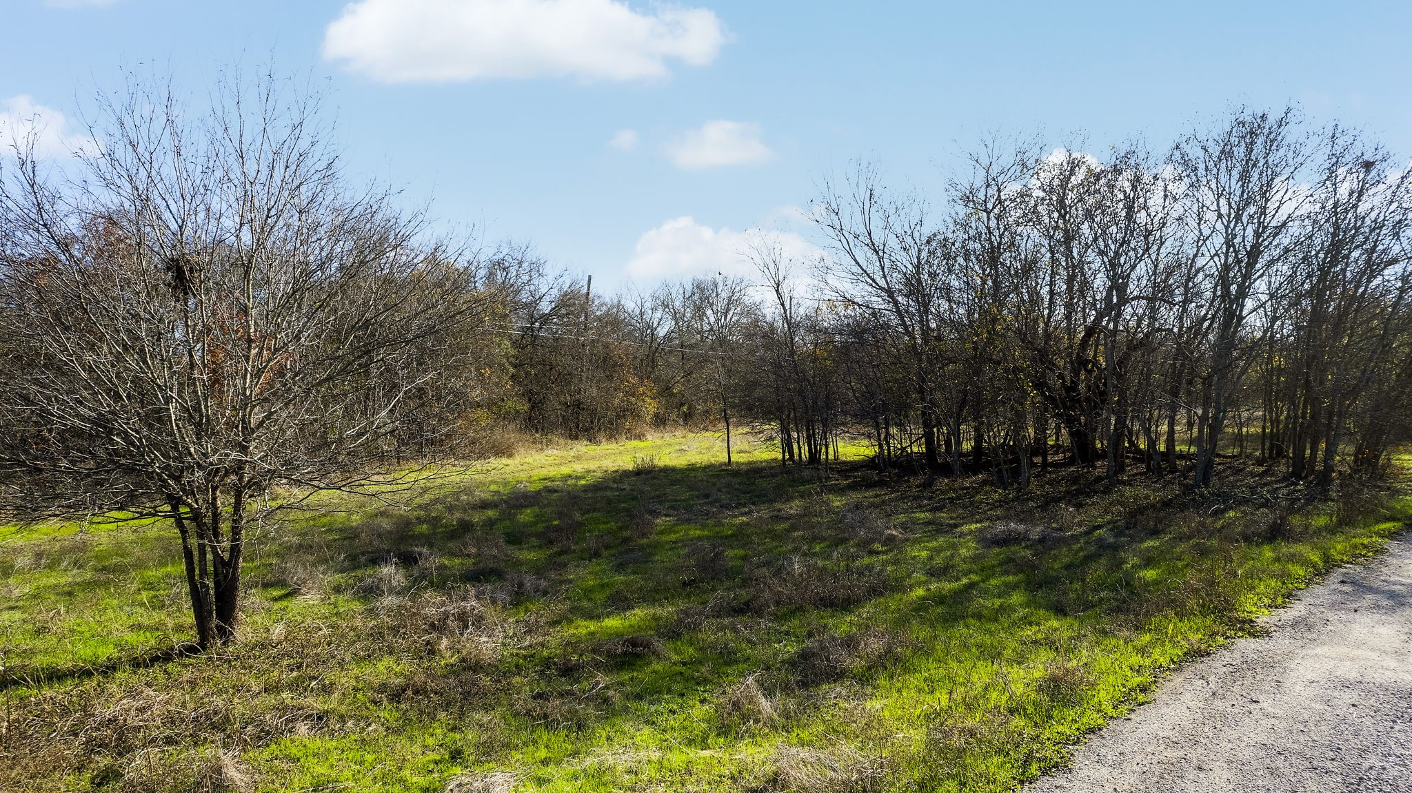 12406 Wirth Drive Manchaca, TX 78652 - Photo 26 of 27