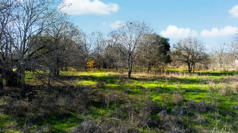 $2,500,000 | 12406 Wirth Drive, Manchaca, TX 78652