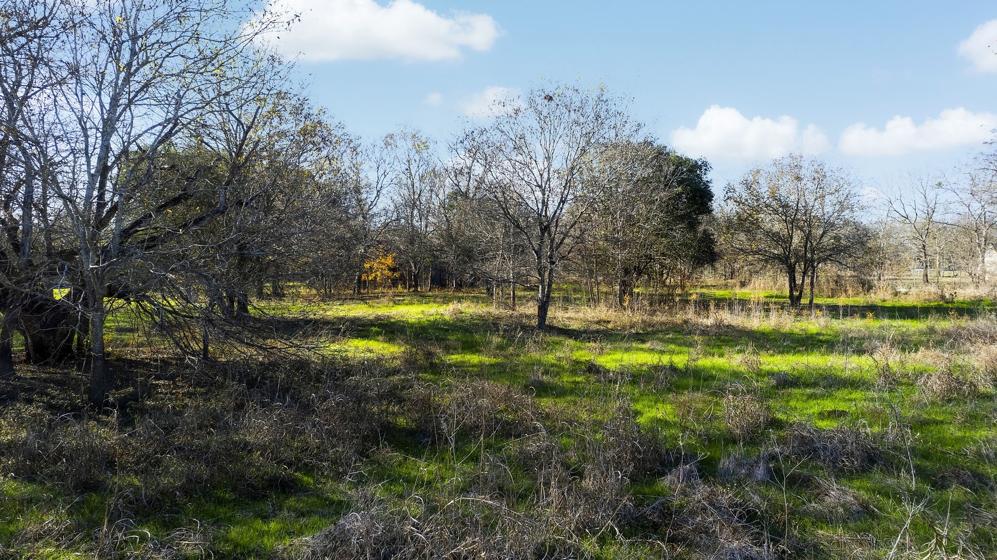 12406 Wirth Drive Manchaca, TX 78652 - Photo 27 of 27