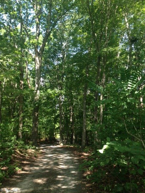 93 Green Pastures Lane Ruffin, NC 27326 - Photo 8 of 28 Driveway
