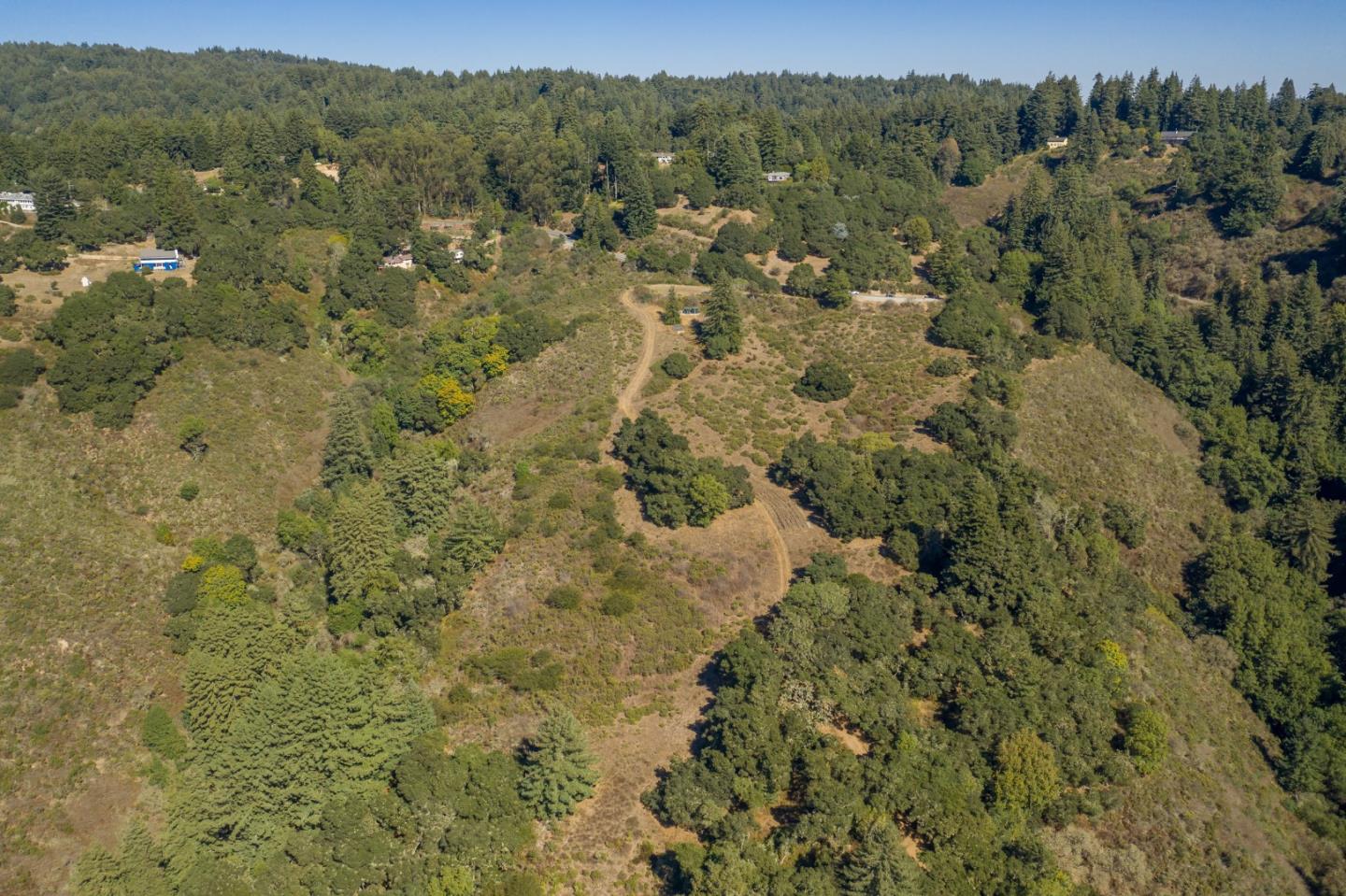 0 Hecker Pass Road Watsonville, CA 95076 - Photo 4 of 25 a view of a forest with a lush green forest