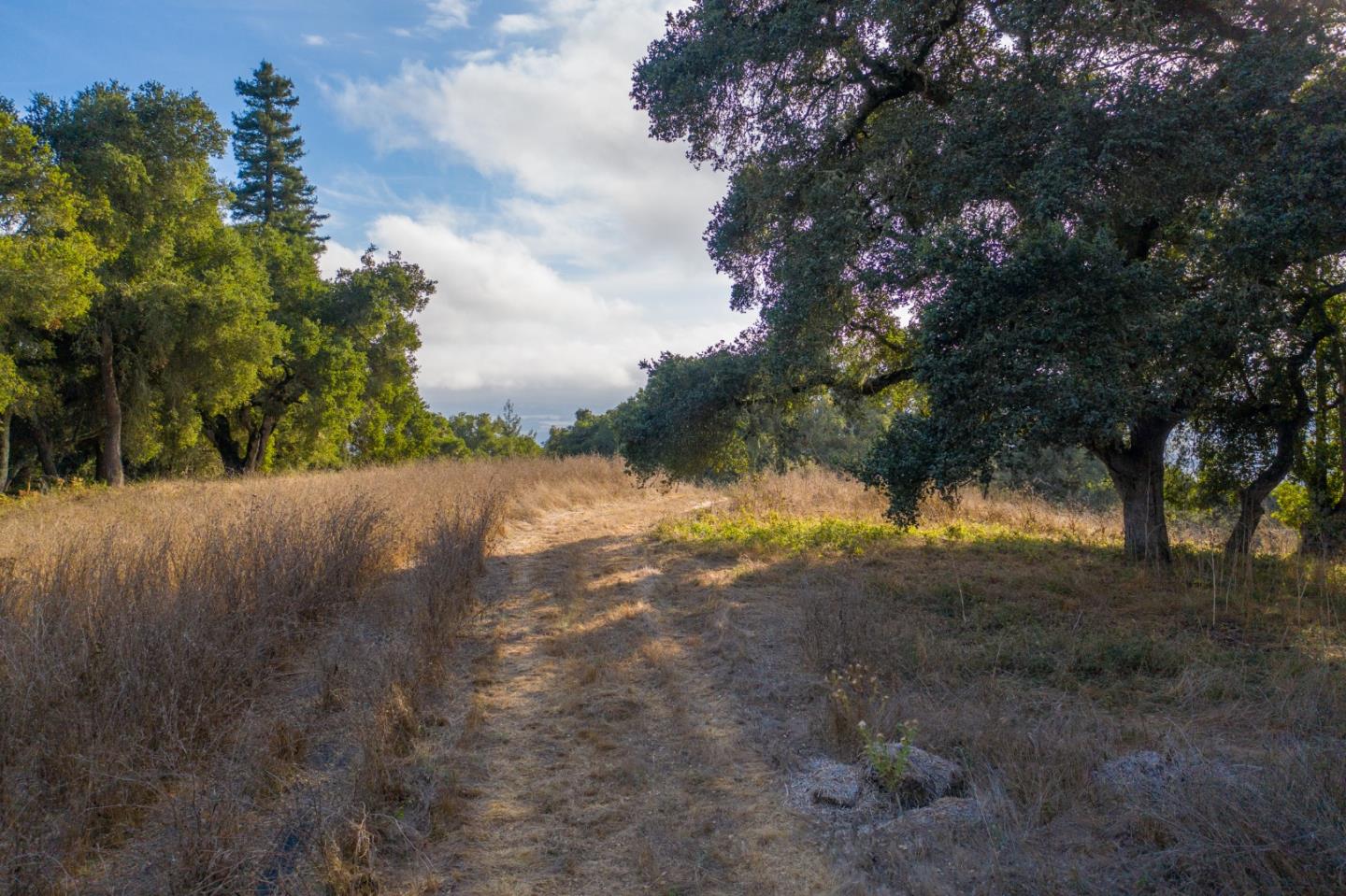 0 Hecker Pass Road Watsonville, CA 95076 - Photo 7 of 25 a view of a yard with a tree