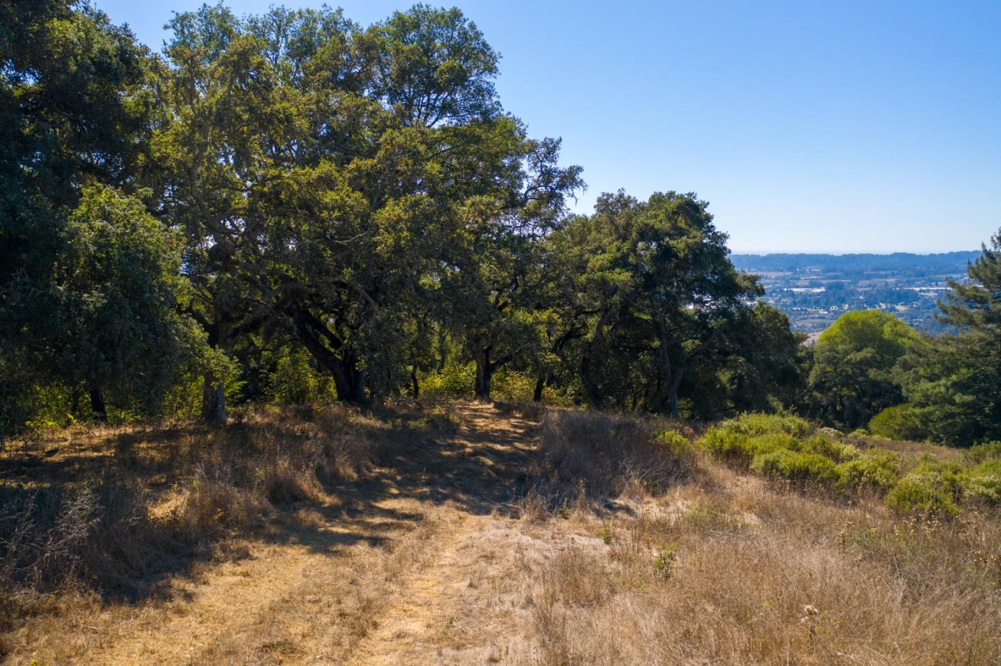 0 Hecker Pass Road Watsonville, CA 95076 - Photo 8 of 25 a view of a yard with a tree