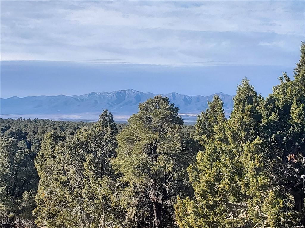1281 Meadow Lane Pioche, NV 89043 - Photo 14 of 34 Property view of mountains featuring a wooded view