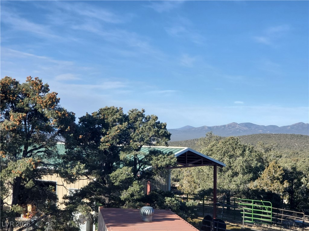1281 Meadow Lane Pioche, NV 89043 - Photo 4 of 34 View of mountain feature