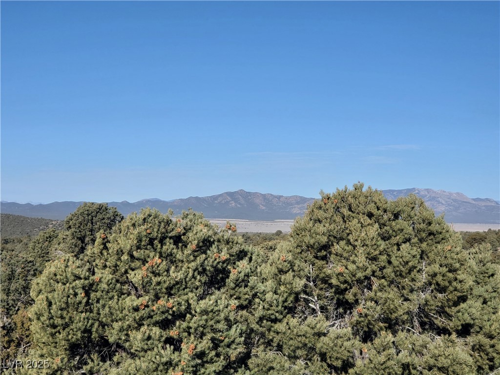 1281 Meadow Lane Pioche, NV 89043 - Photo 5 of 34 Mountain view