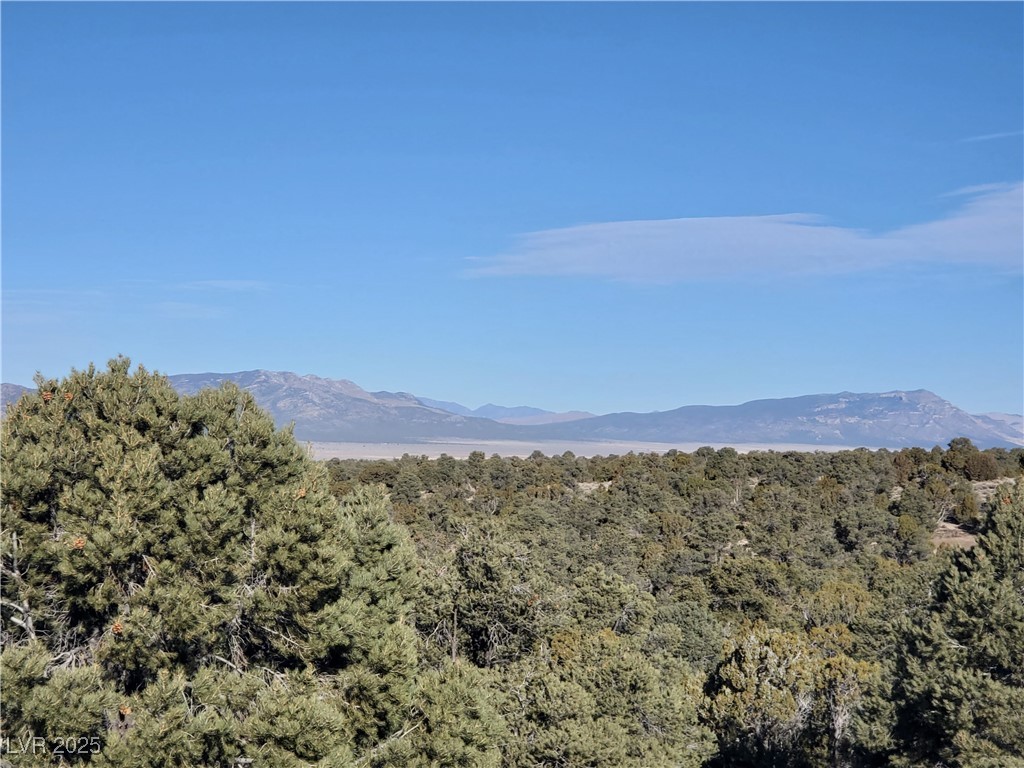 1281 Meadow Lane Pioche, NV 89043 - Photo 6 of 34 Property view of mountains featuring a wooded view