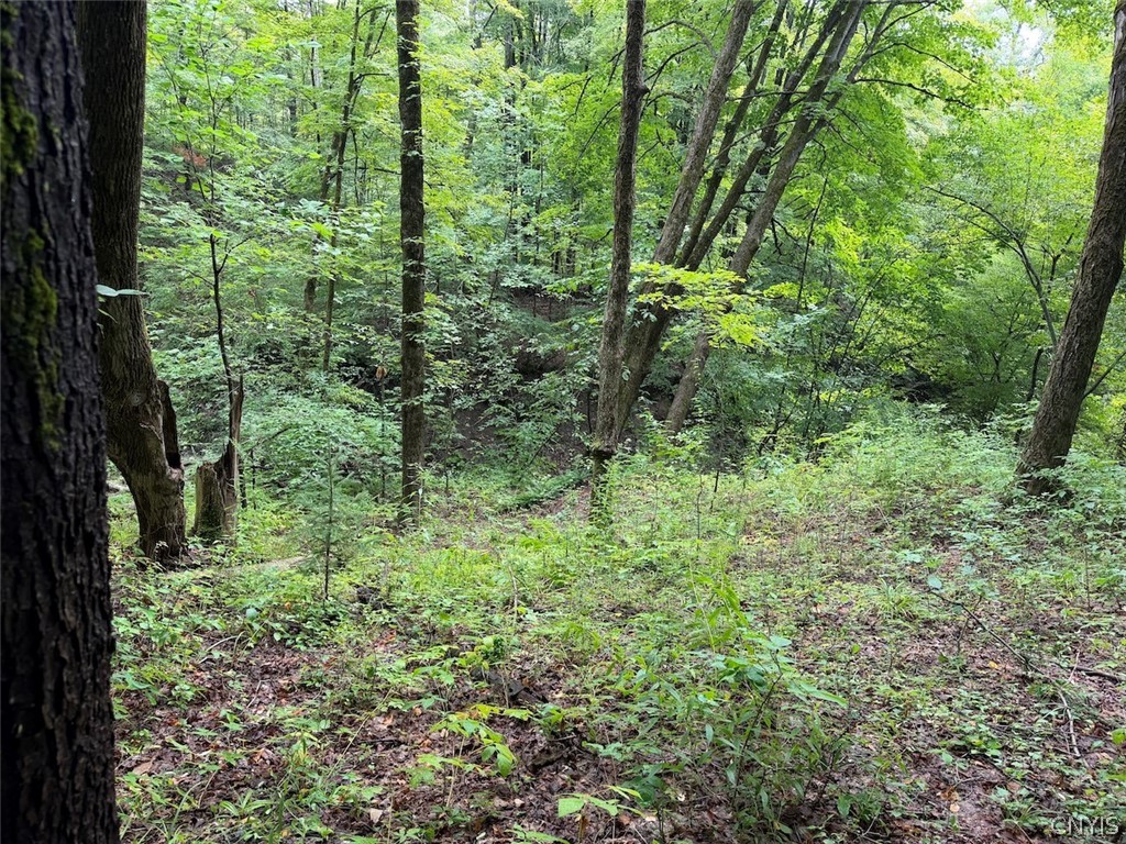 Creek Road Springville, NY 14141 - Photo 29 of 34 Gallery Image 29