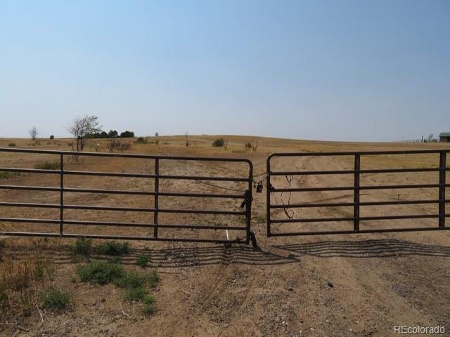 a view of a dry yard with wooden fence
