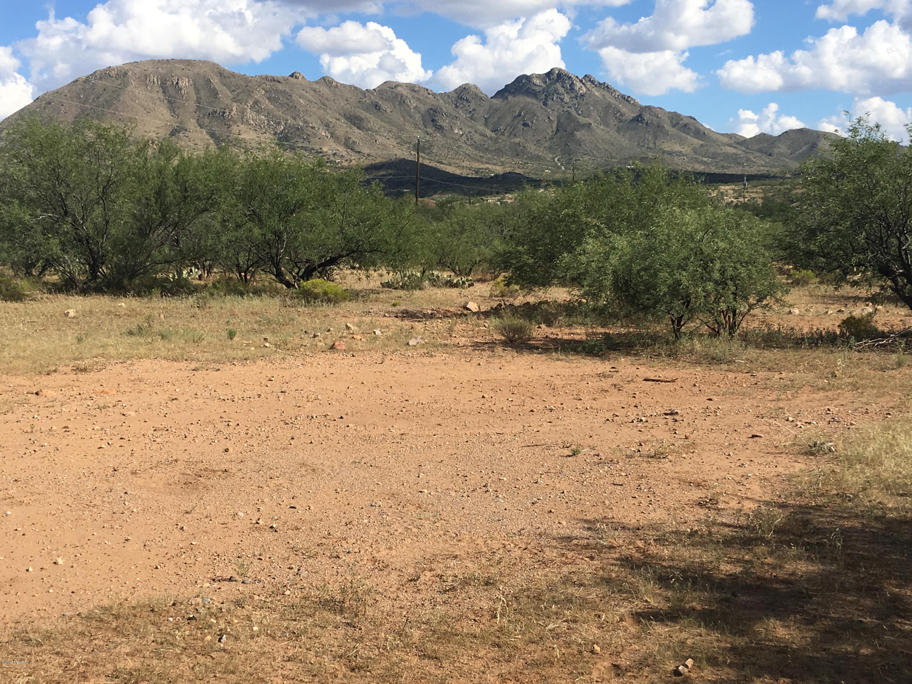 1843 Monte Court Rio Rico, AZ 85648 - Photo 1 of 9