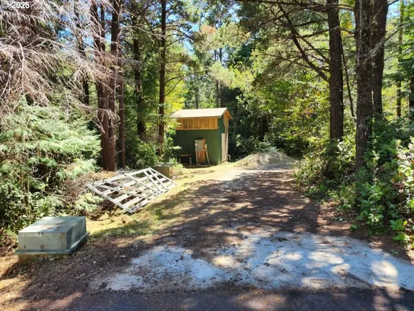a view of a backyard with large trees