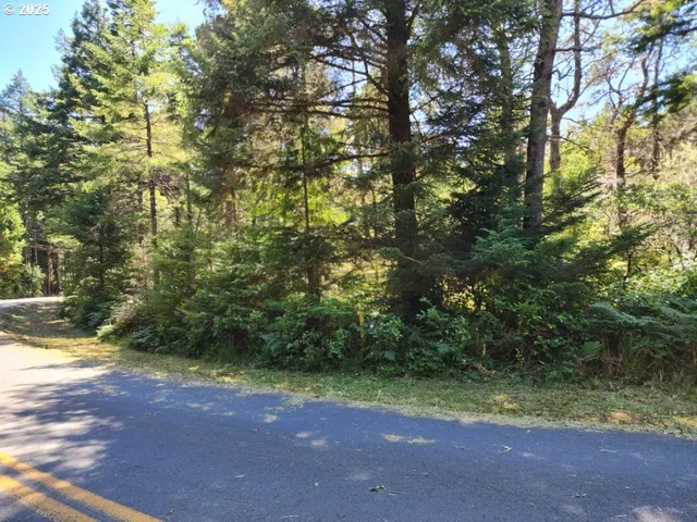 a view of a yard with a tree