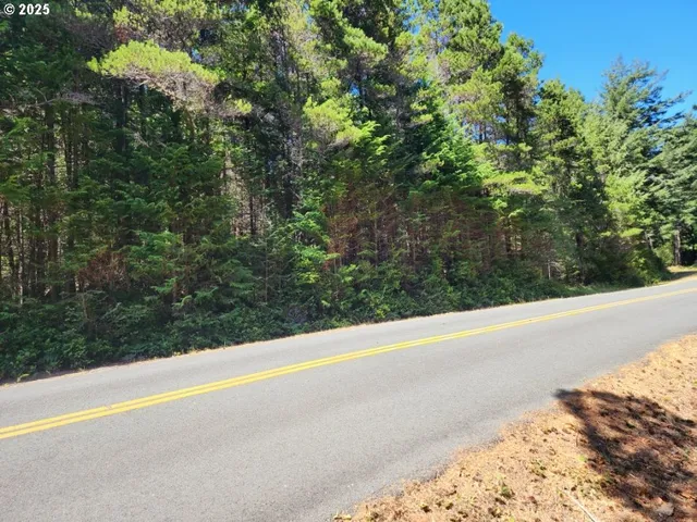 a view of a road with a yard and large trees