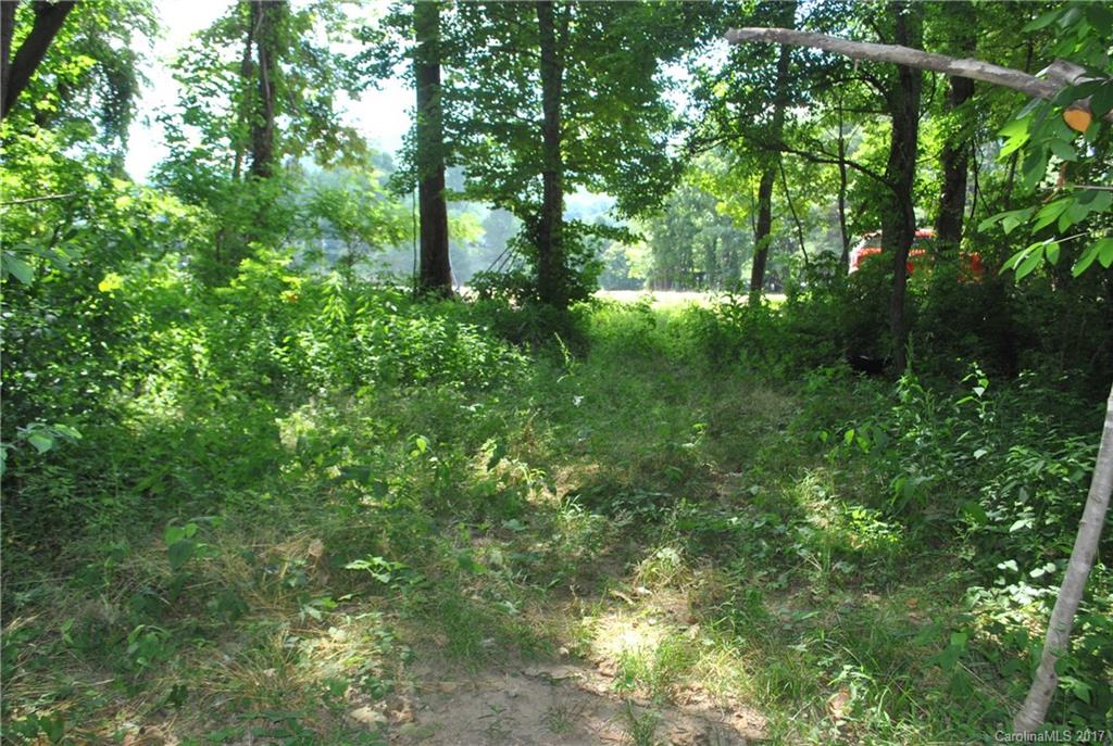 1863 Lake Logan Road Canton, NC 28716 - Photo 13 of 16