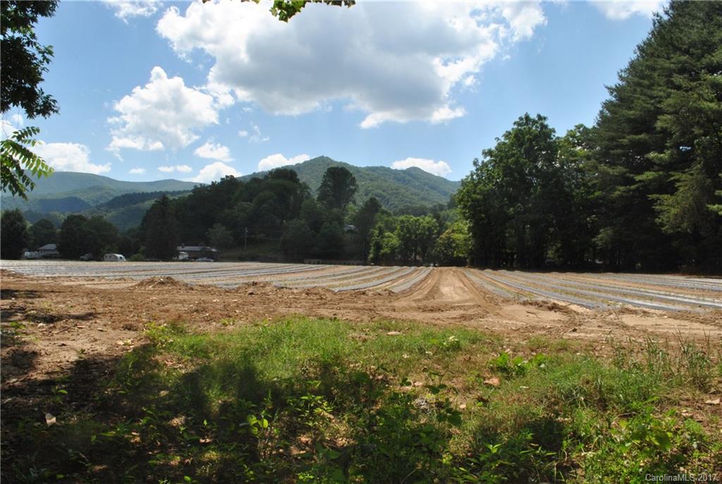 1863 Lake Logan Road Canton, NC 28716 - Photo 14 of 16