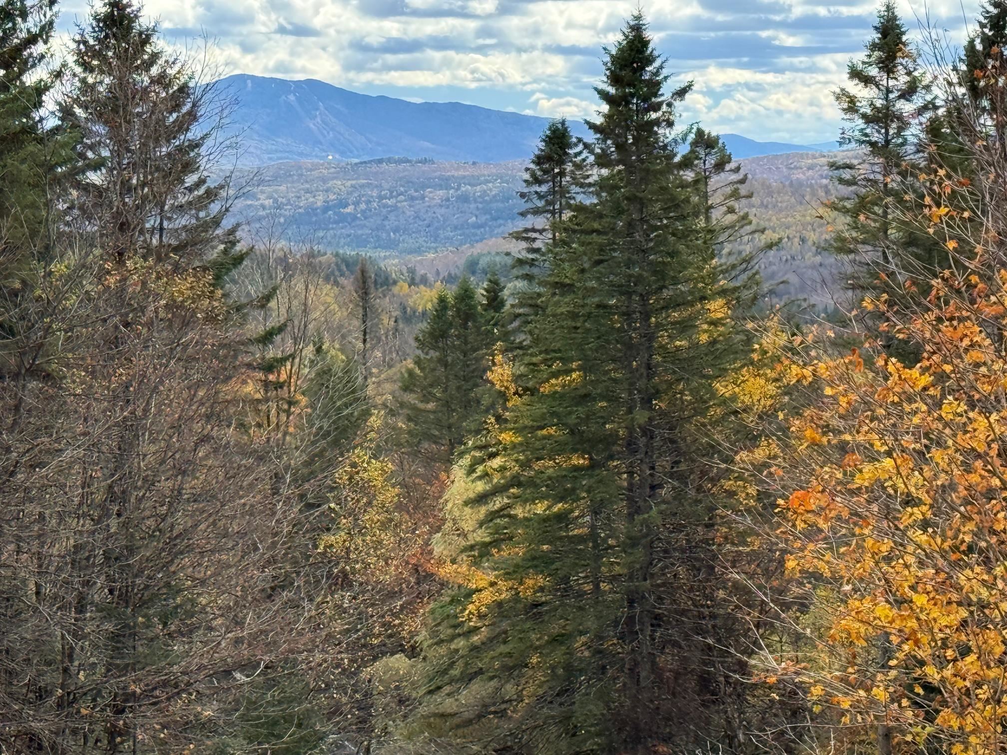 397 Mountain View Road Newark, VT 05871 - Photo 30 of 60