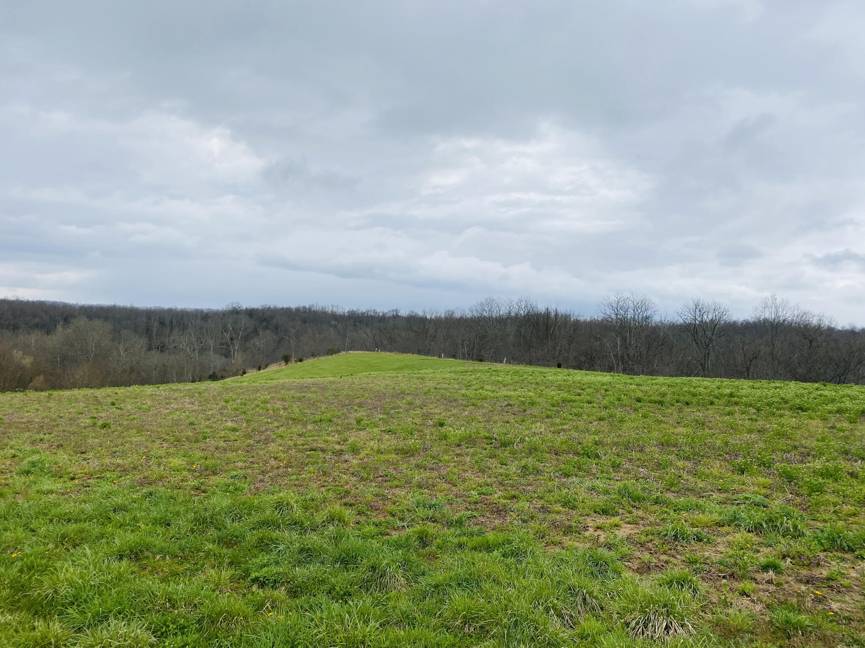 0 Elliston-Napoleon Road Dry Ridge, KY 41035 - Photo 10 of 11 Gallery Image 10