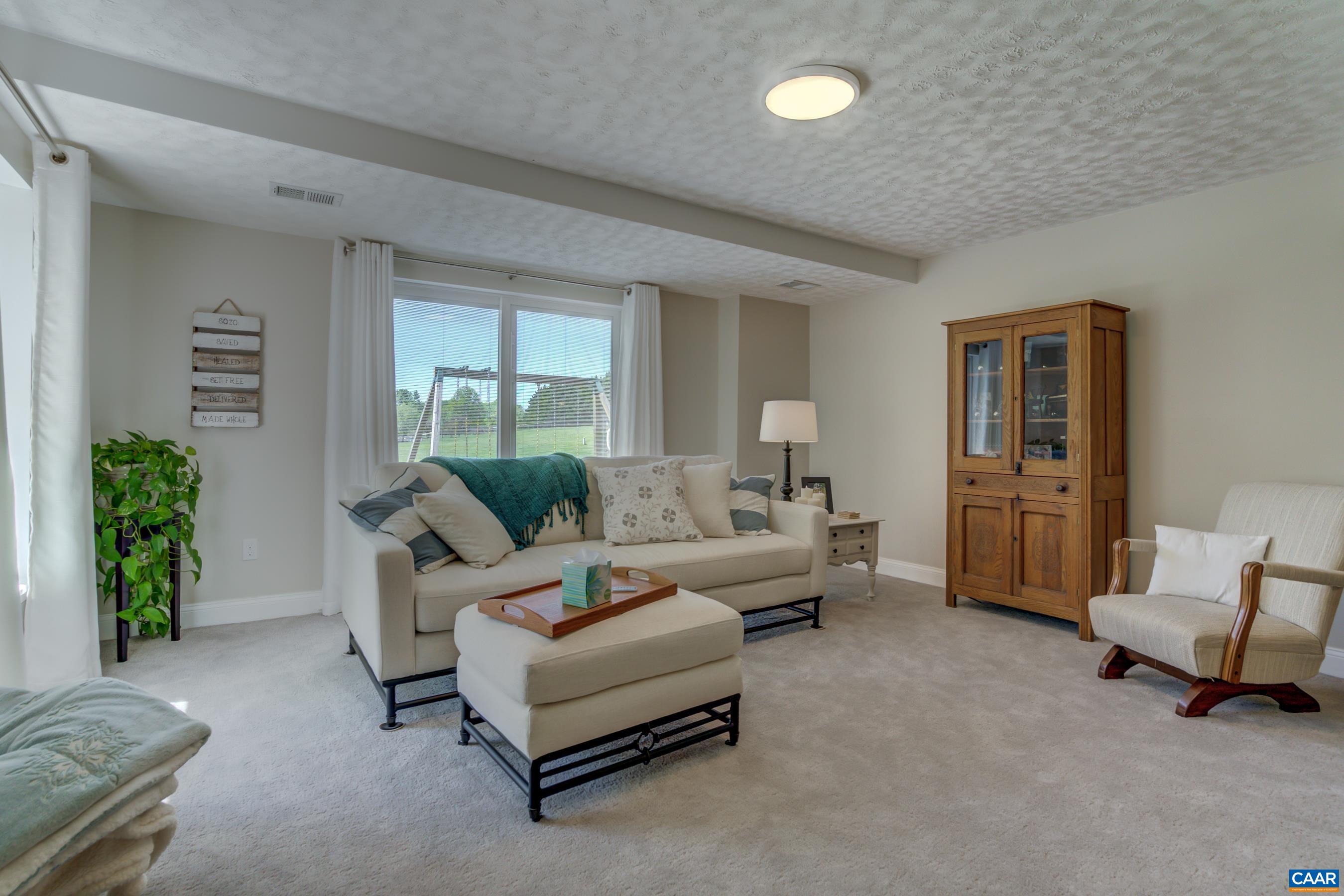 120 Meadowview Lane Ruckersville, VA 22968 - Photo 32 of 53 a living room with furniture and a potted plant
