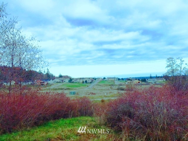 999 Simdars Parcel B Road Sequim, WA 98382 - Photo 4 of 4
