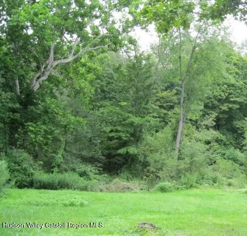 a view of a lush green forest