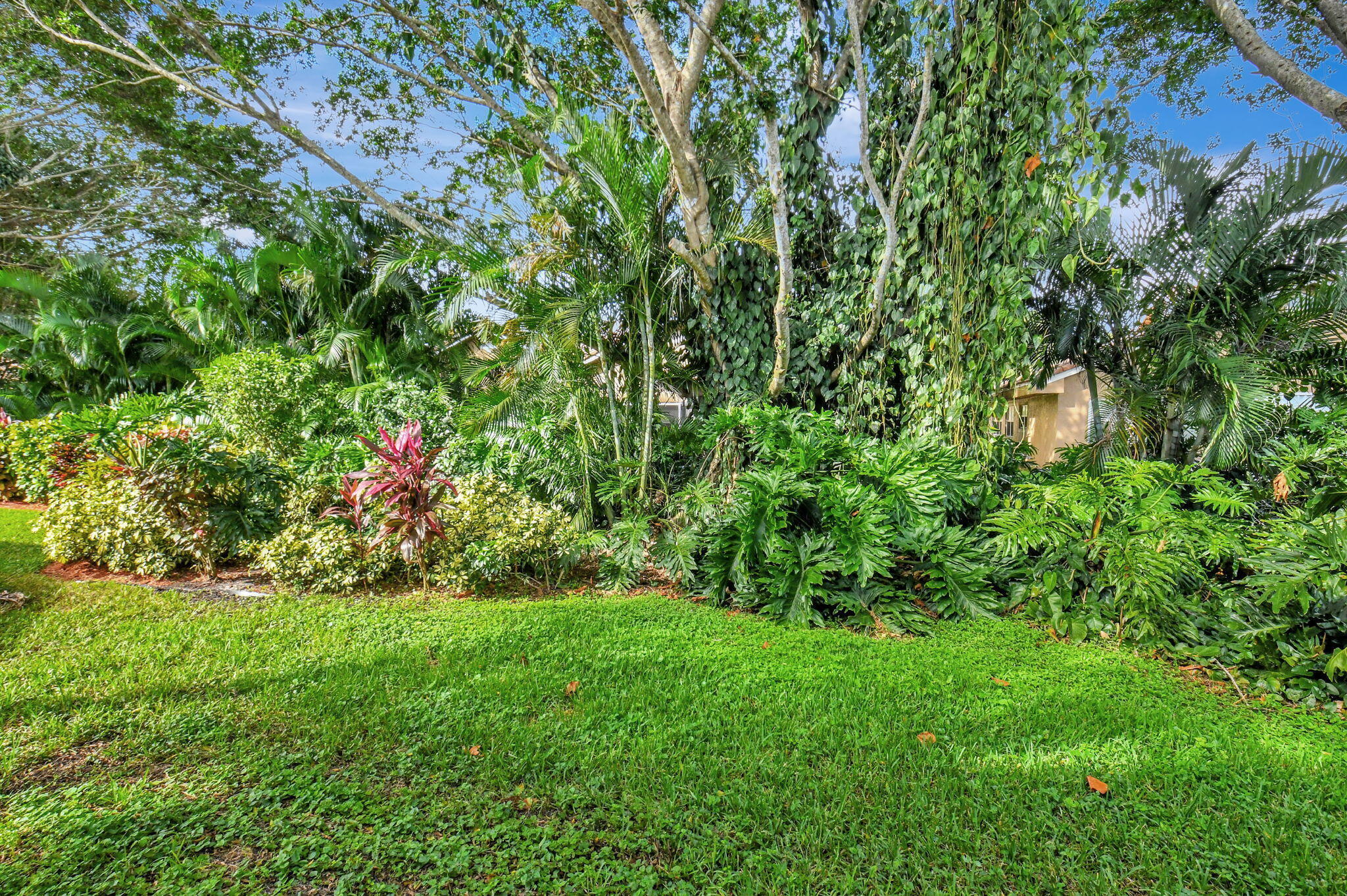 11161 Sangria Court Boca Raton, FL 33498 - Photo 20 of 26 Back Yard