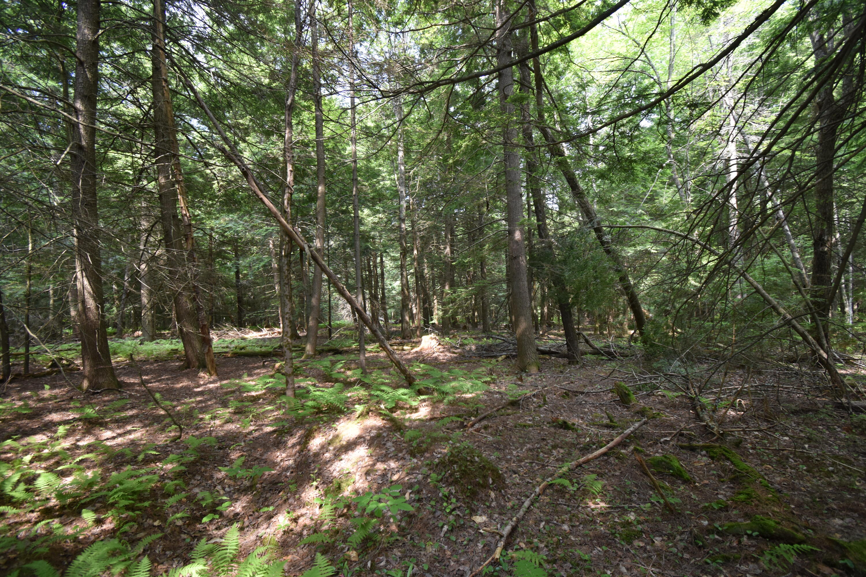 0 Rodrigue Lane Readfield, ME 04355 - Photo 33 of 51 DSC_0540