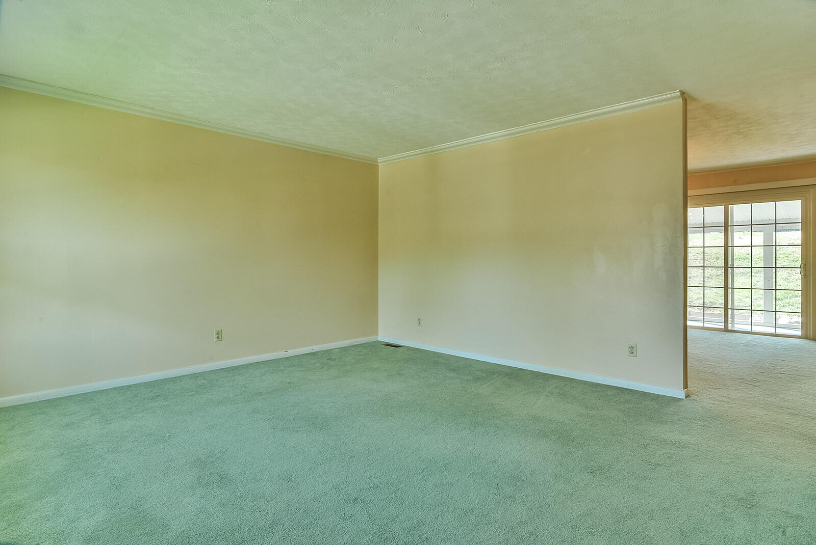 229 Historic Hills Road Kingsport, TN 37663 - Photo 6 of 28 TRB_1625