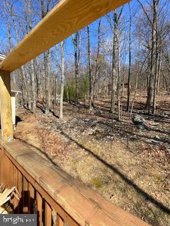 852 Gray Fox Road Harpers Ferry, WV 25425 - Photo 22 of 22 Side yard off deck