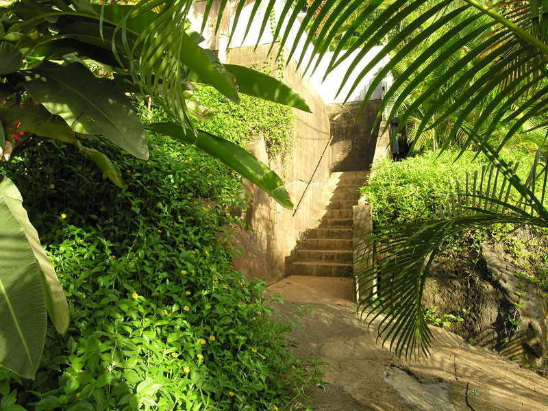 4241 Anini Road Princeville, HI 96722 - Photo 12 of 24 a view of a garden