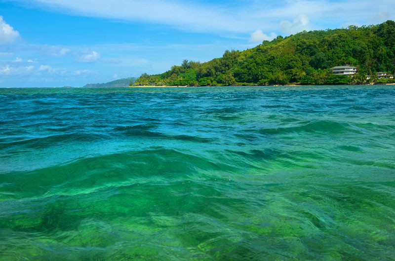 4241 Anini Road Princeville, HI 96722 - Photo 7 of 24 a view of a big yard with lots of green space