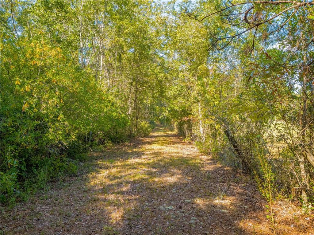 43 Dutch Road Hortense, GA 31543 - Photo 29 of 45 Gallery Image 29