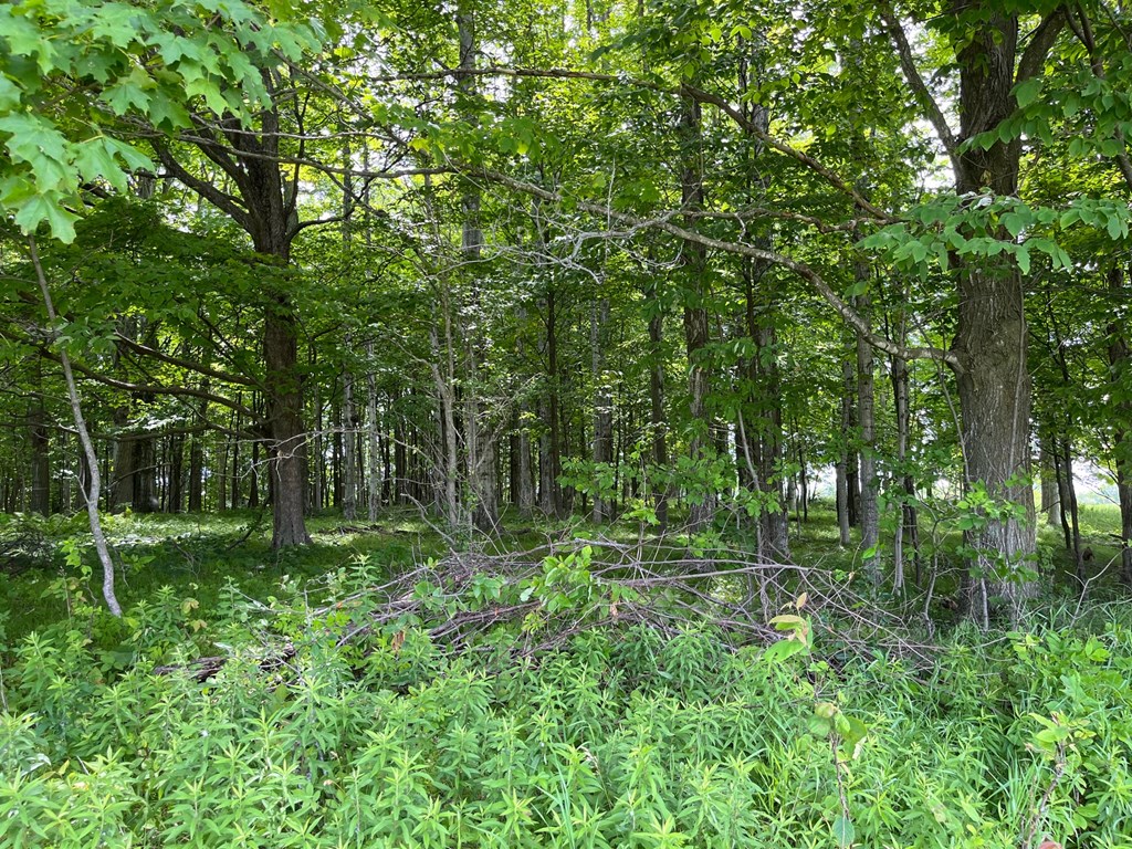 Haberli Road Sturgeon Bay, WI 54235 - Photo 4 of 7
