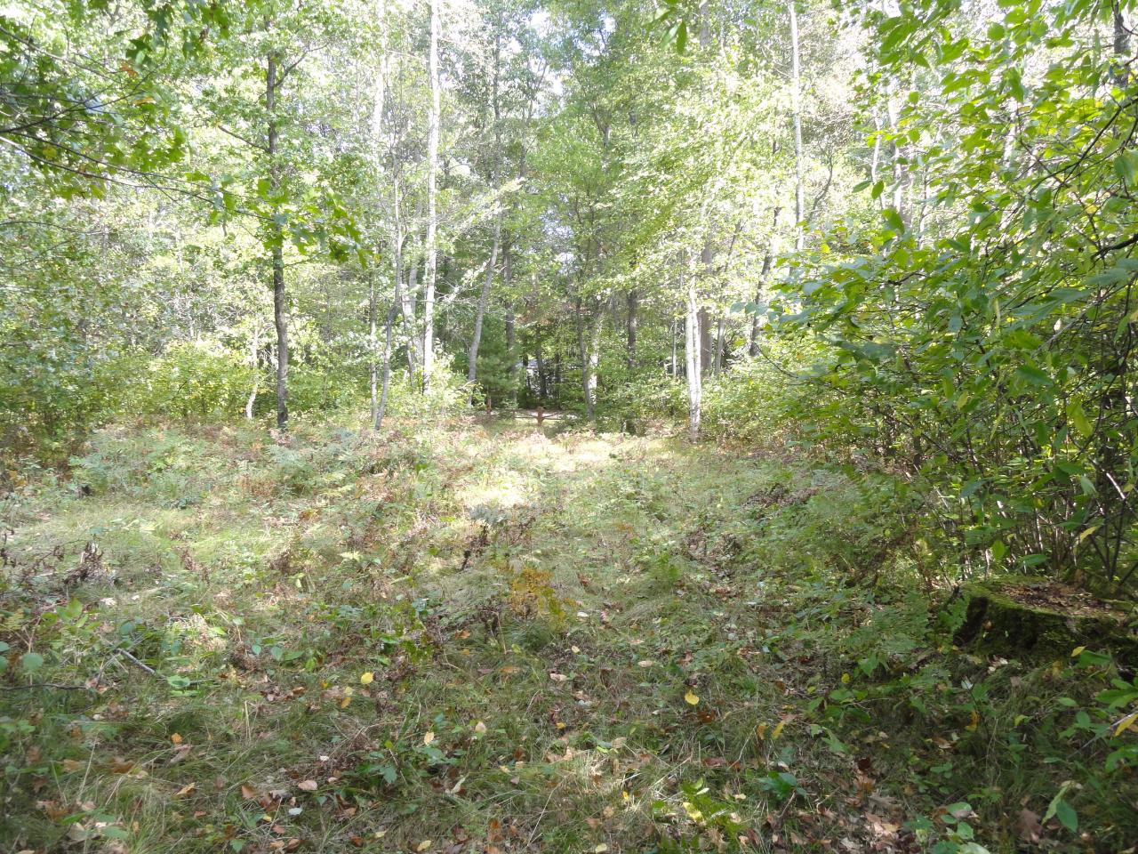 Lot 8 Kaufman Road Tomahawk, WI 54487 - Photo 5 of 13 Gallery Image 5