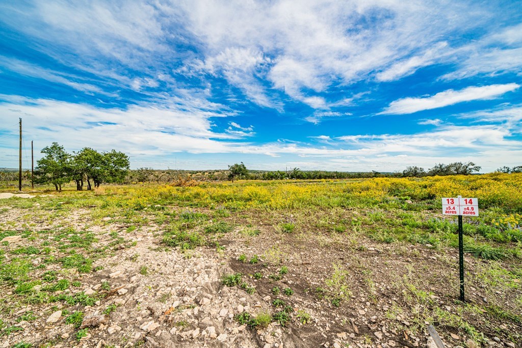 654 Scott Branch Road Harper, TX 78631 - Photo 3 of 4