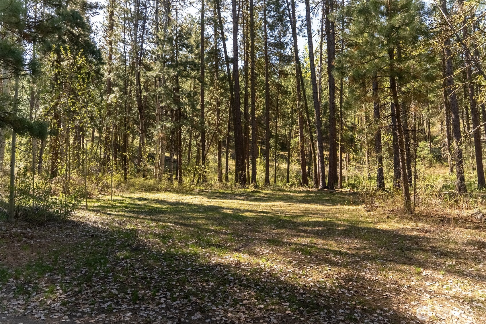 19 Stagecoach Road Carlton, WA 98814 - Photo 3 of 19 a view of water with trees
