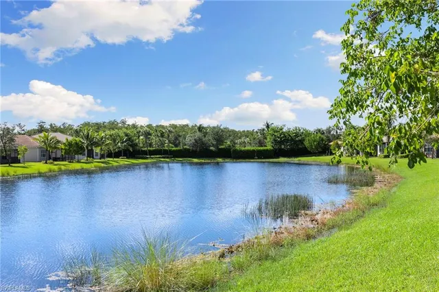 a view of a lake with houses in the back