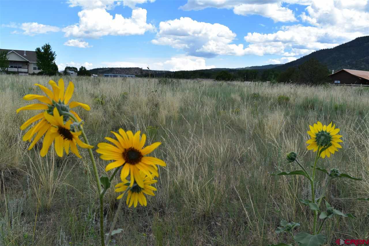 143 Kit Carson Road South Fork, CO 81154 - Photo 1 of 5 Gallery Image 1