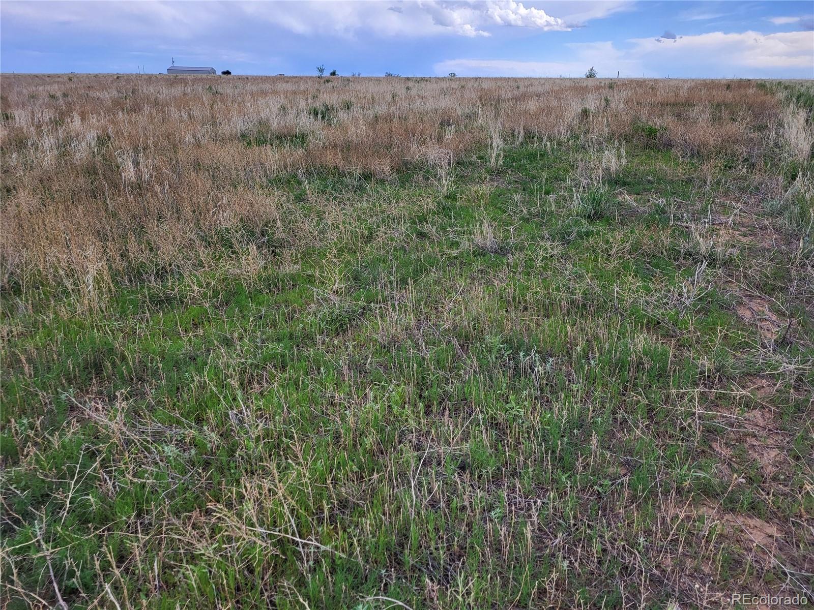 40450 Hoot Owl Road Ramah, CO 80832 - Photo 6 of 21