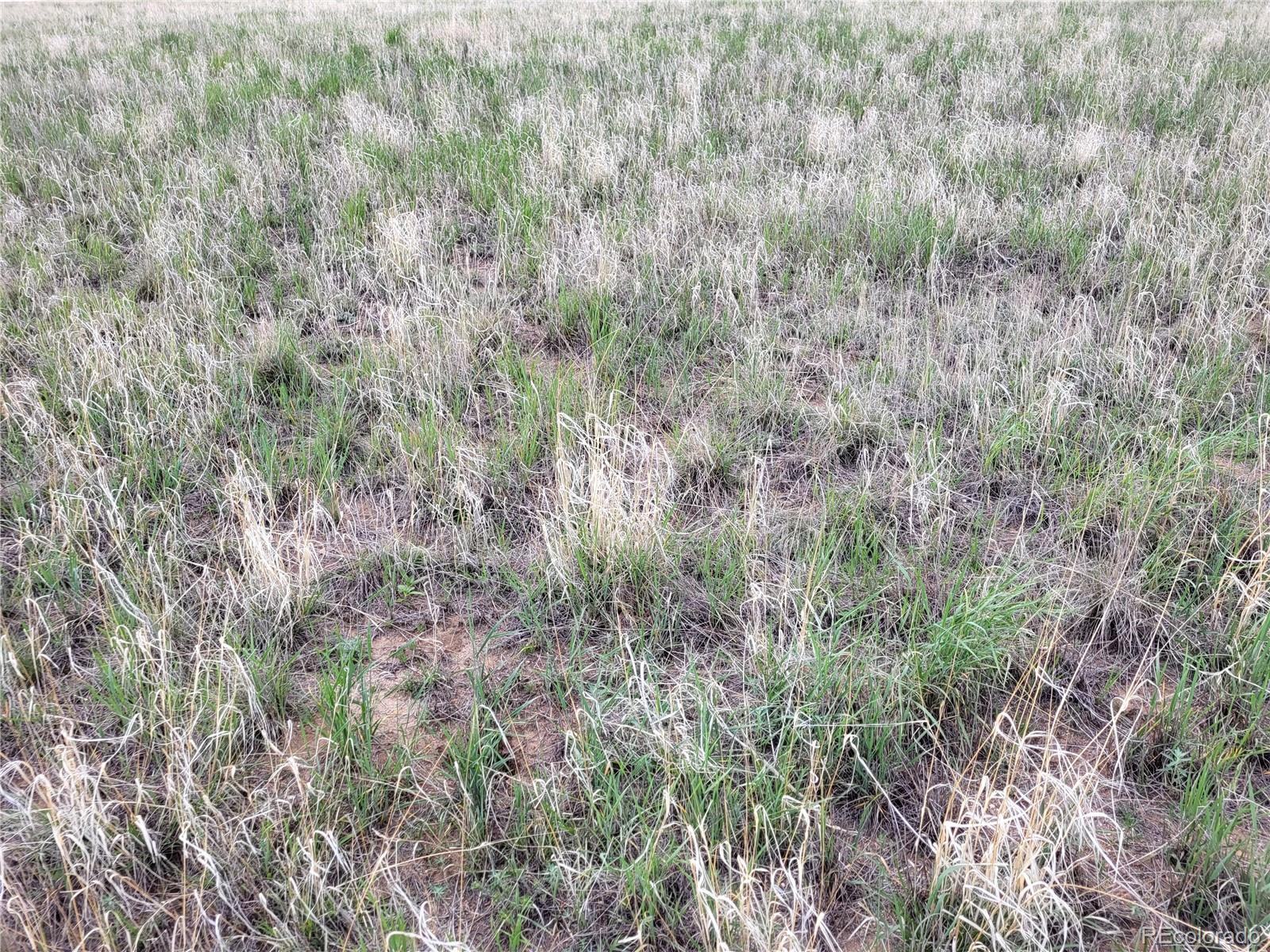 40450 Hoot Owl Road Ramah, CO 80832 - Photo 9 of 21