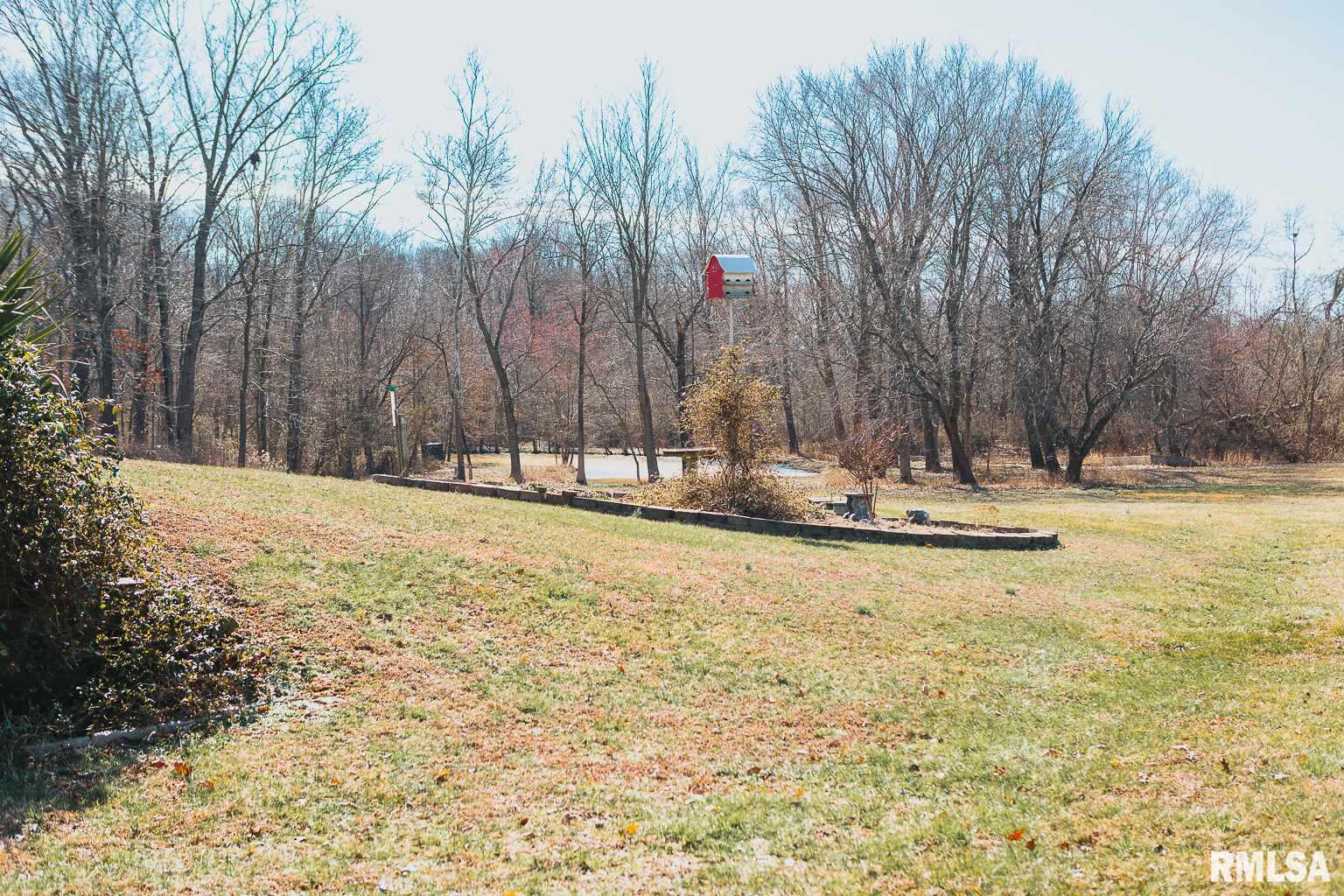 2040 Ava Road Murphysboro, IL 62966 - Photo 47 of 50
