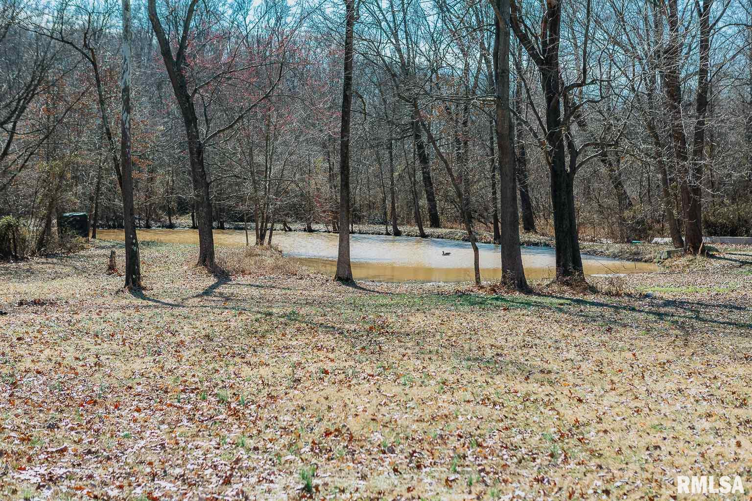 2040 Ava Road Murphysboro, IL 62966 - Photo 50 of 50