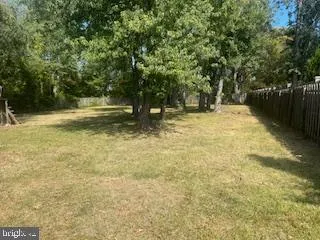 a view of a yard with trees