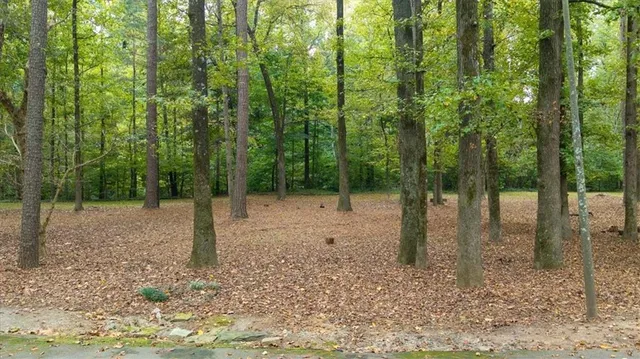 a view of a backyard with wooden fence