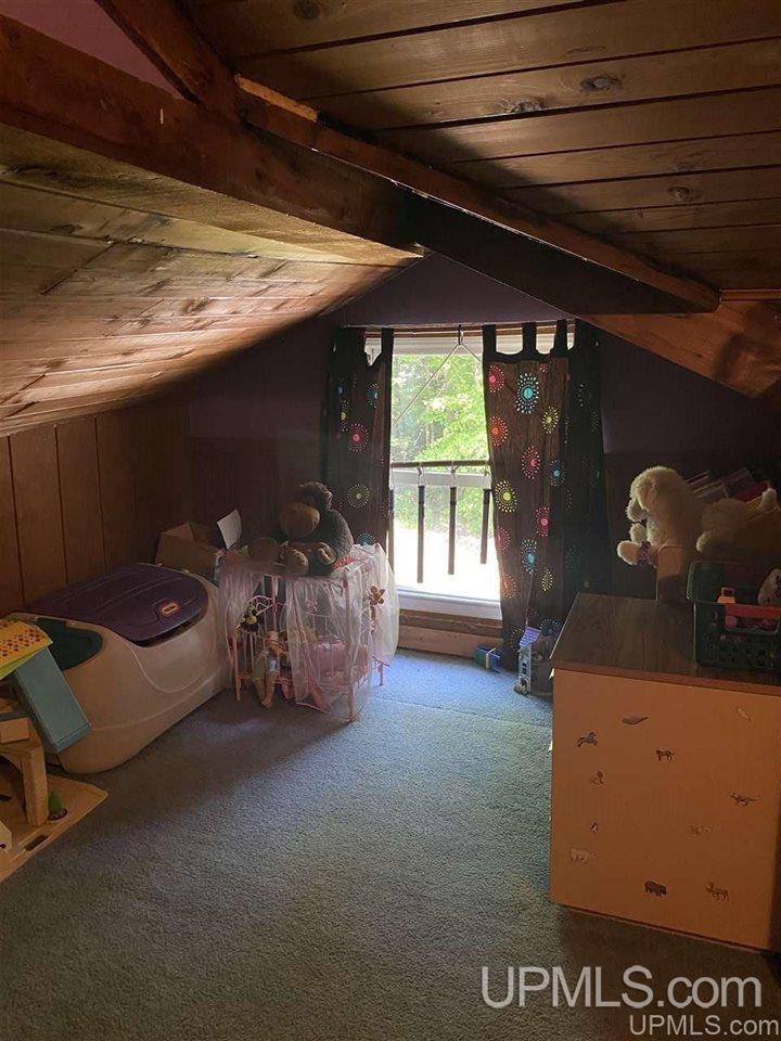 373 Town Hall Road Skandia, MI 49885 - Photo 35 of 47