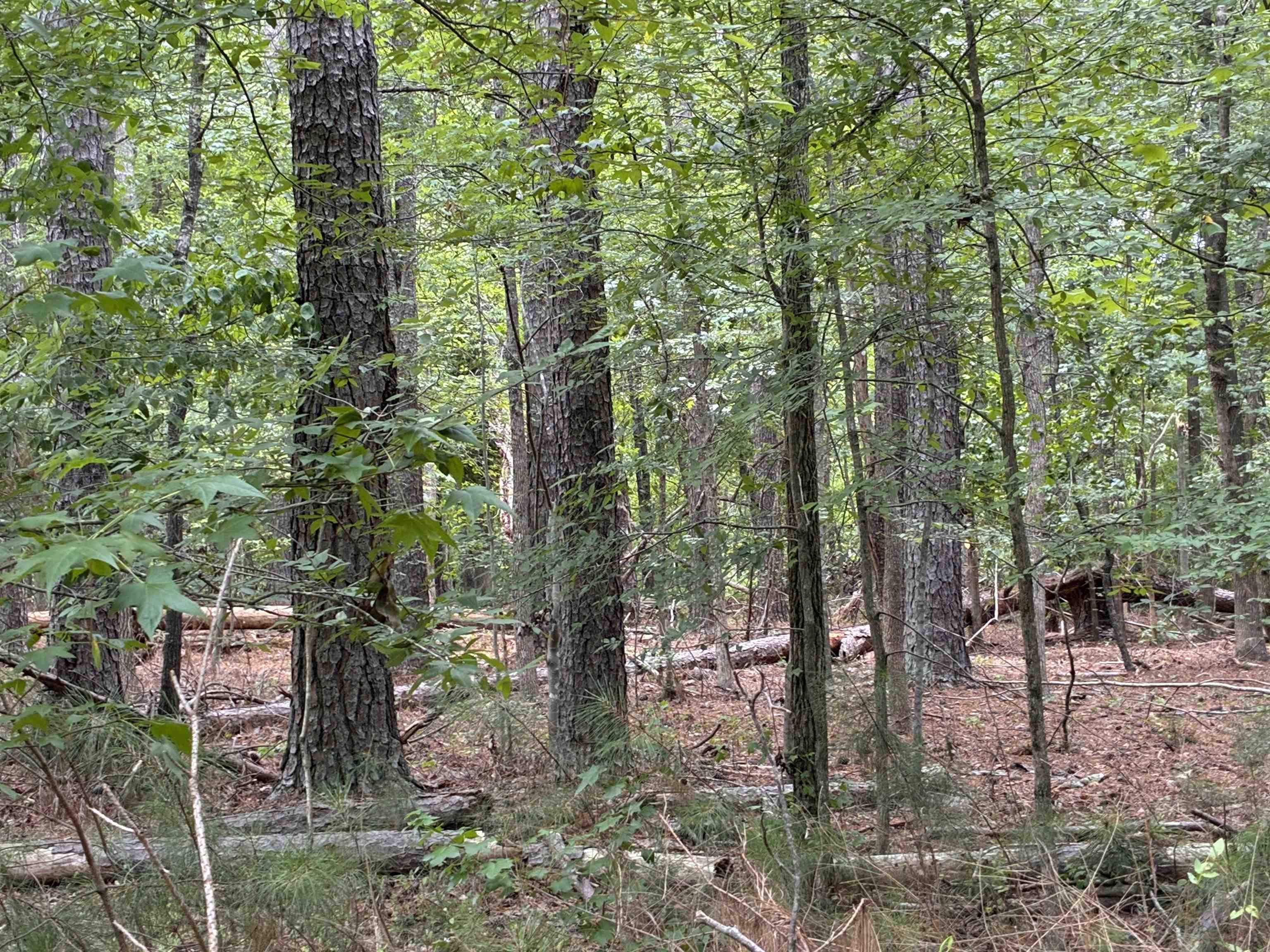 Lot 9 State Rd S-11-54 Gaffney, SC 29340 - Photo 7 of 10