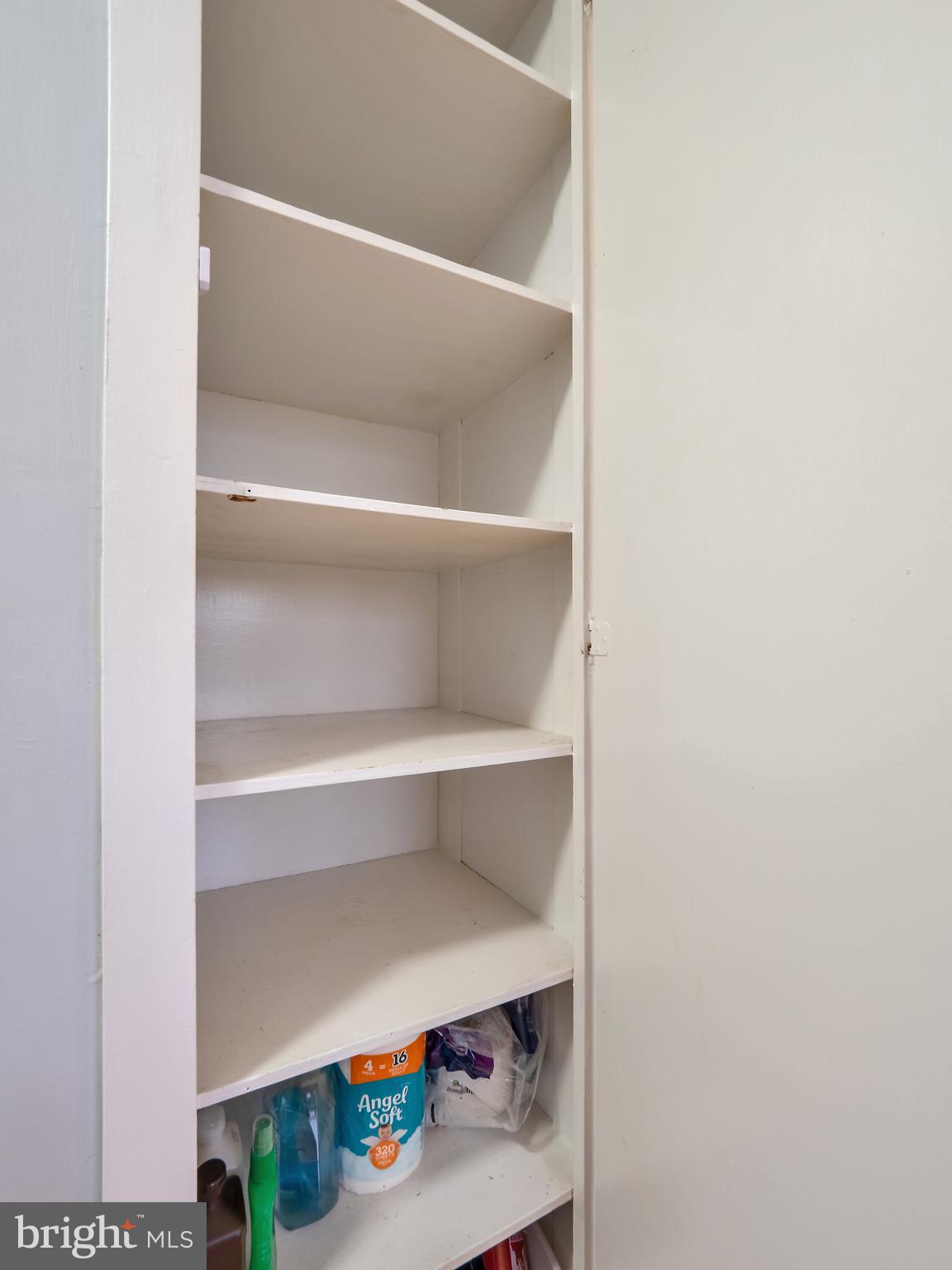 11-E Laurel Hill Road Greenbelt, MD 20770 - Photo 28 of 34 Linen Closet