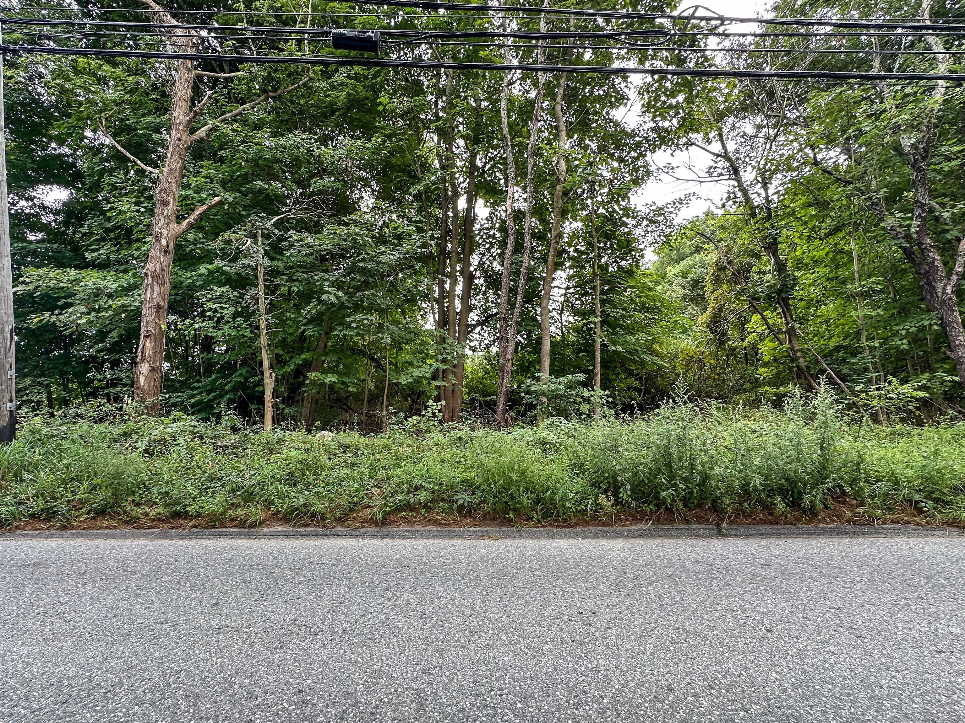 Dow Road Plainfield, CT 06374 - Photo 4 of 6 a view of backyard with green space