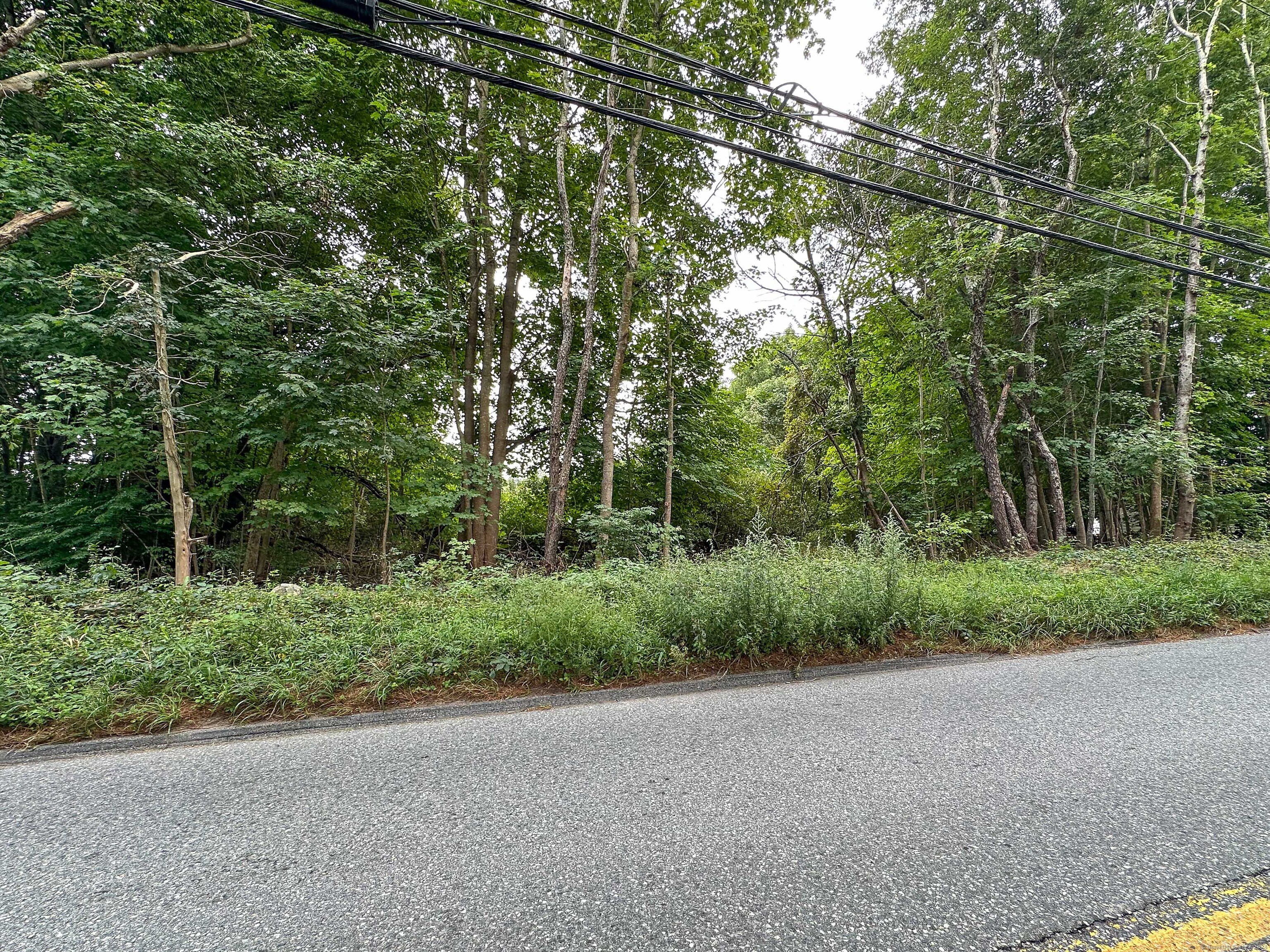 Dow Road Plainfield, CT 06374 - Photo 5 of 6 a view of a field with plants and trees