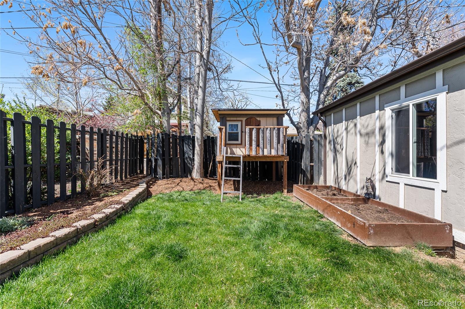 1065 Jackson Street Denver, CO 80206 - Photo 42 of 50 a view of a house with backyard and a tree