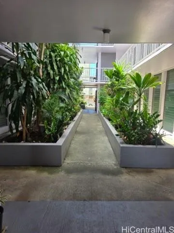 a view of a garden with plants